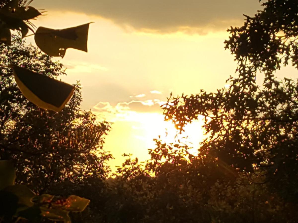 Sunset Ridge Cabin Pigeon Forge Bagian luar foto