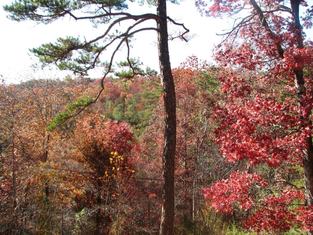 Sunset Ridge Cabin Pigeon Forge Bagian luar foto